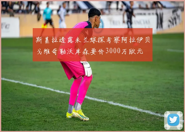 斯基拉透露米兰球探考察阿拉伊贝戈维奇勒沃库森要价3000万欧元