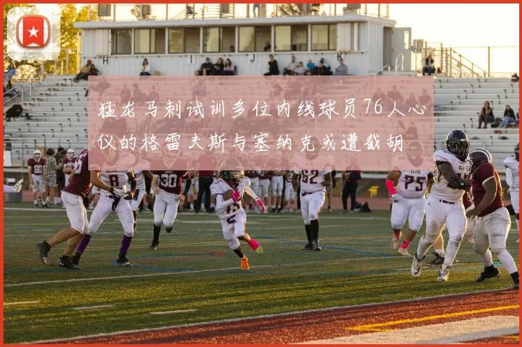 猛龙马刺试训多位内线球员76人心仪的格雷夫斯与塞纳克或遭截胡